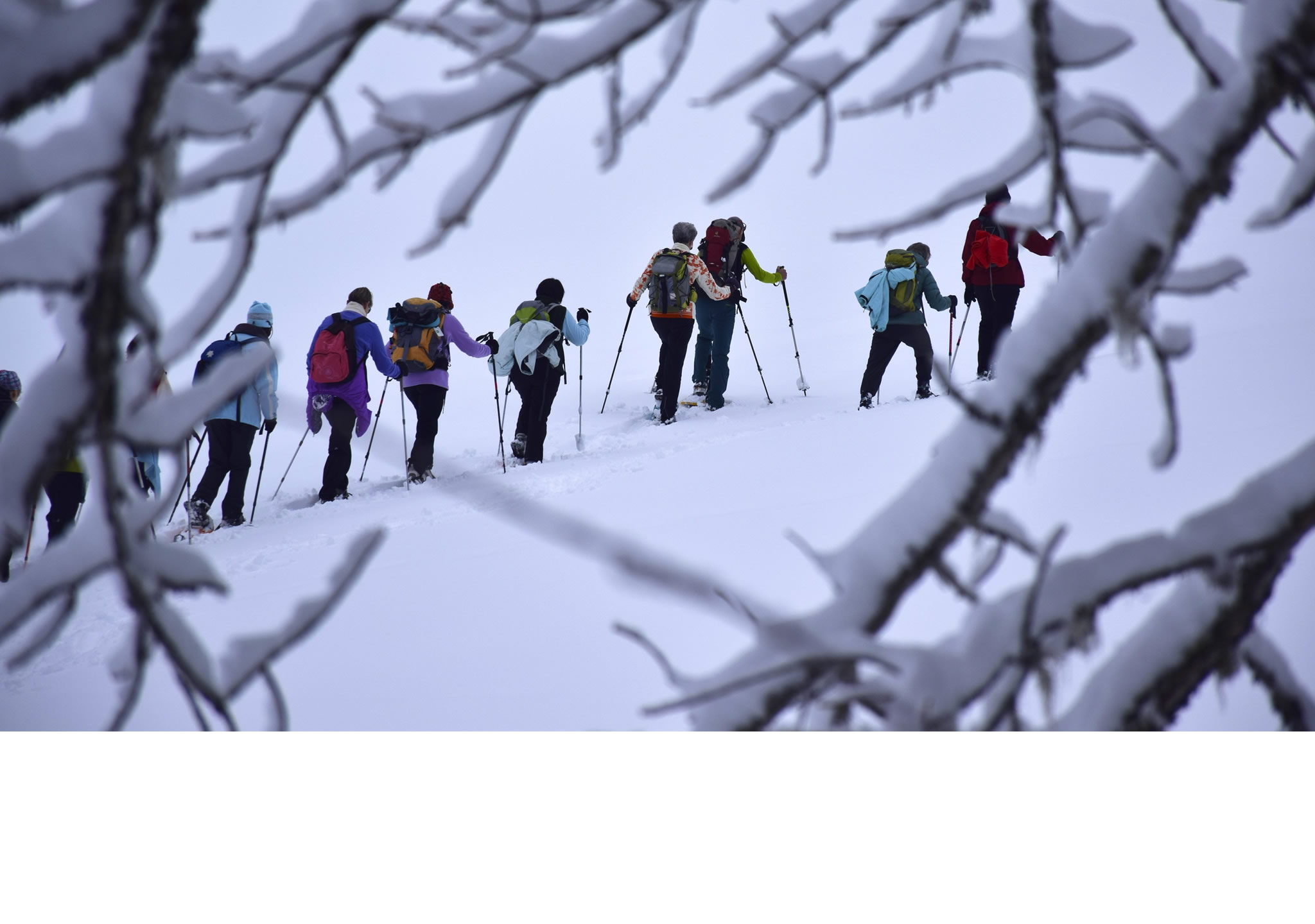 Randonnée Raquettes à Neige Pleine Lune